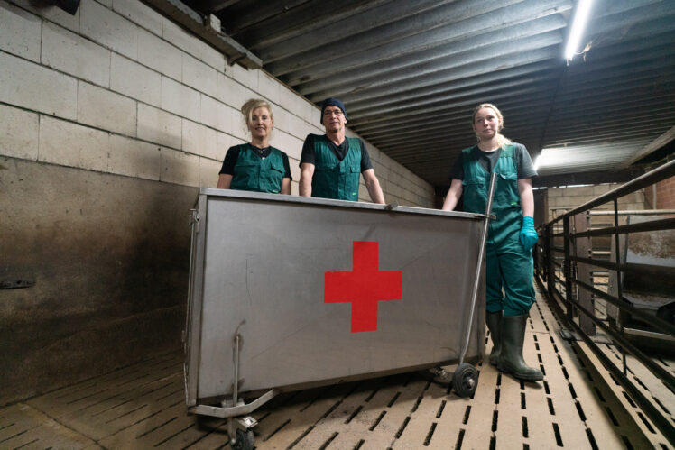 Der Krankenwagen bringt erkrankte Tiere möglichst schnell und schonend in die Krankenbucht.